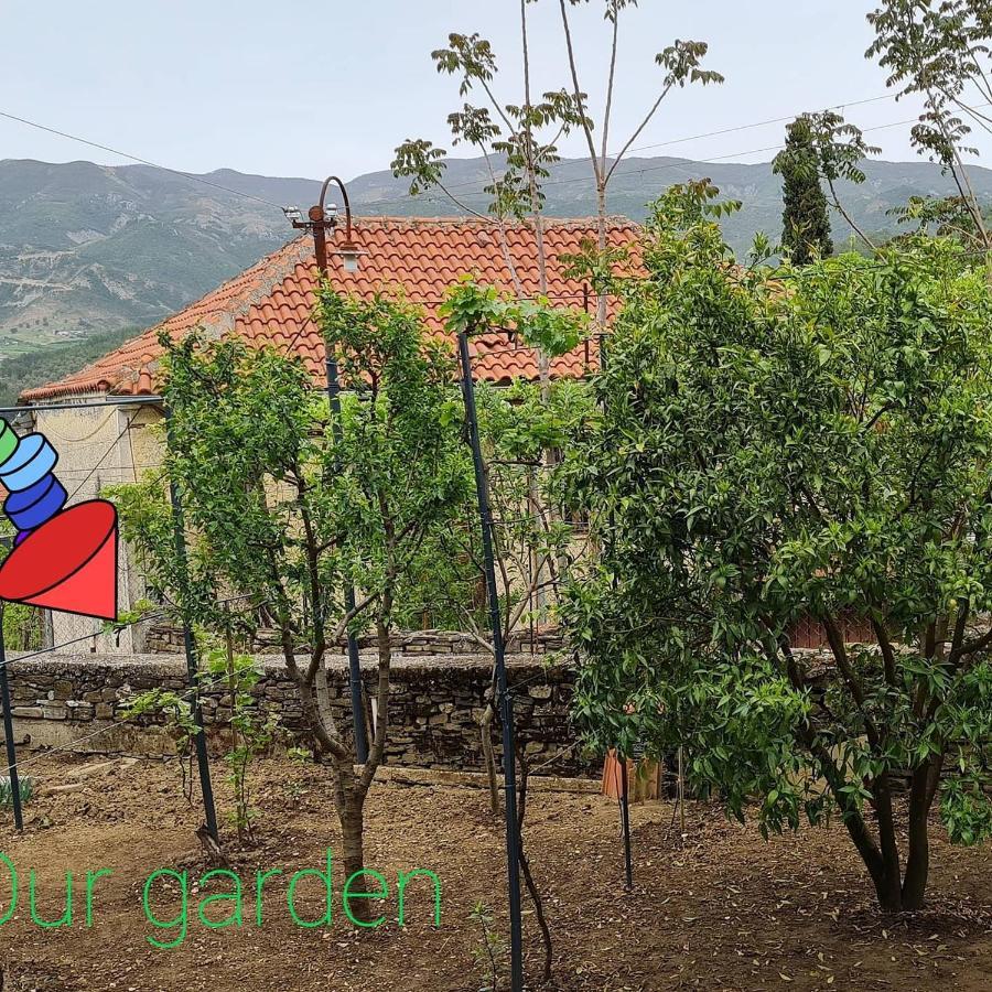 Përmet Garden Guest House מראה חיצוני תמונה