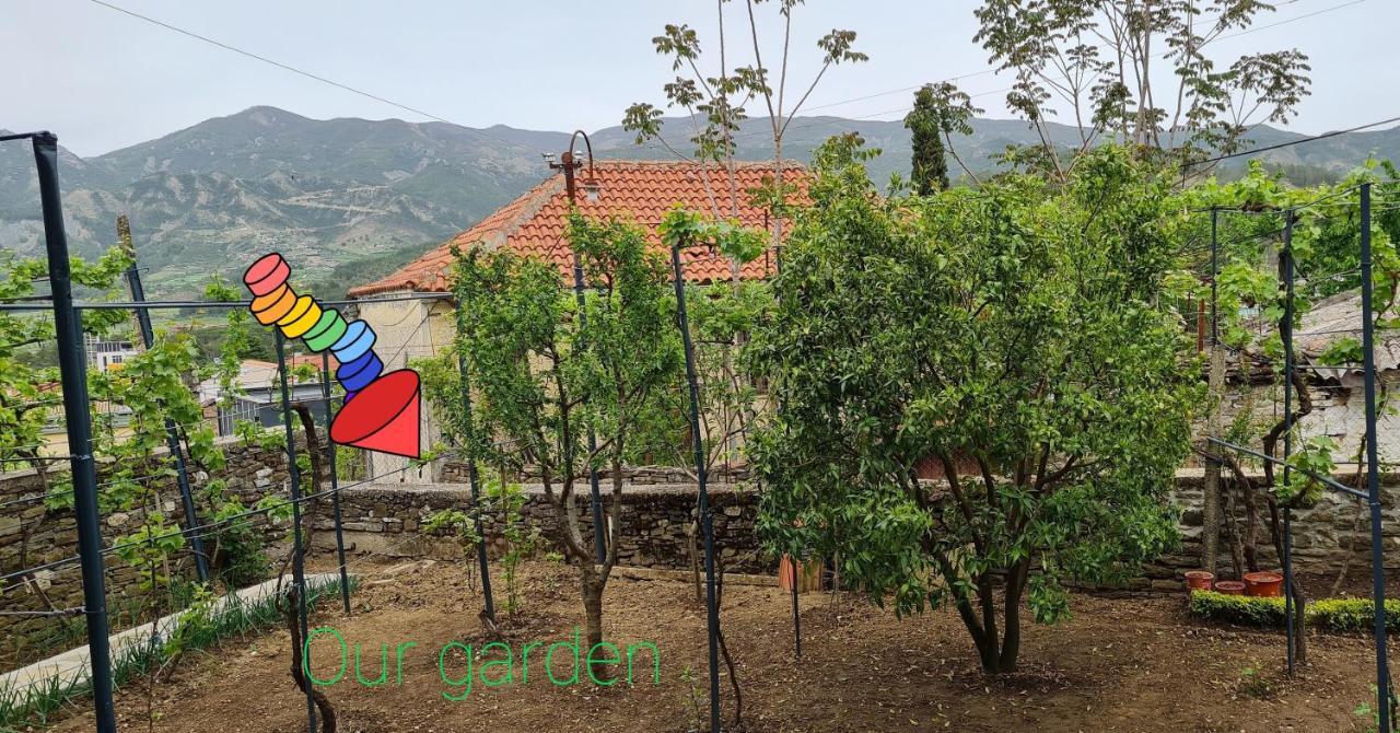 Përmet Garden Guest House מראה חיצוני תמונה