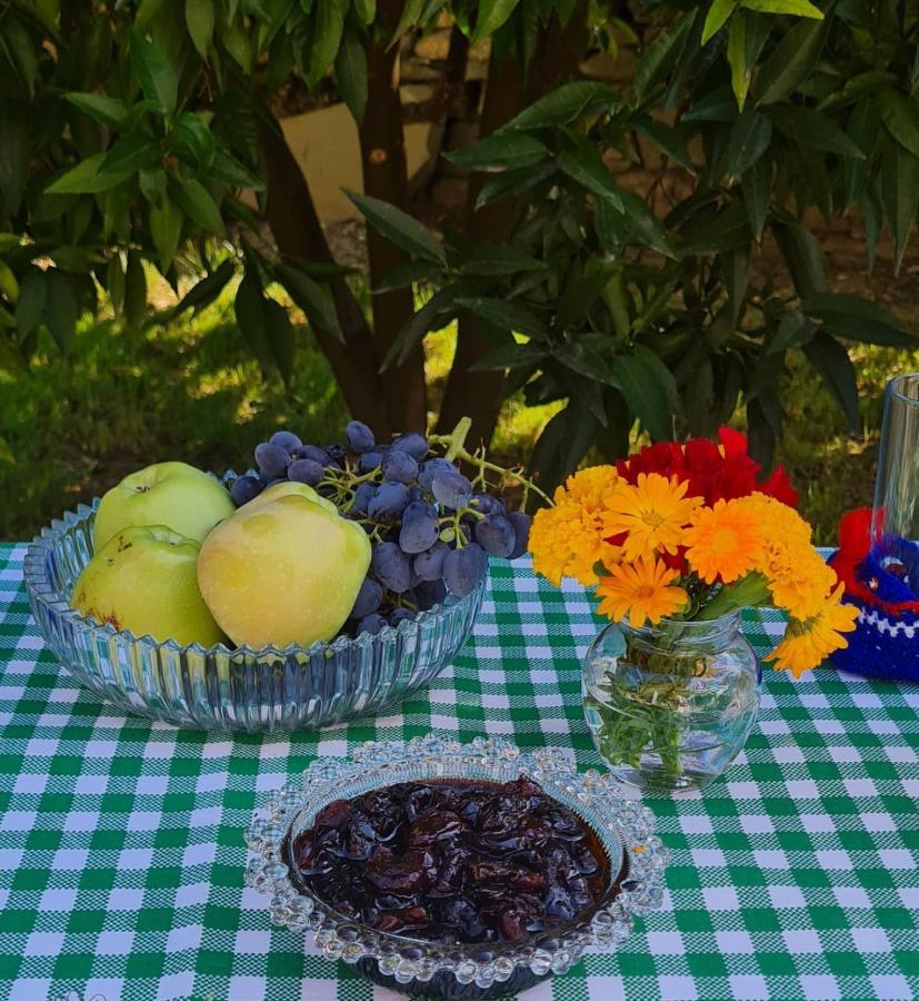 Përmet Garden Guest House מראה חיצוני תמונה