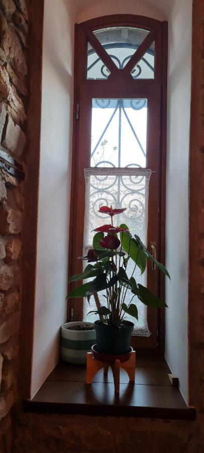 Përmet Garden Guest House מראה חיצוני תמונה