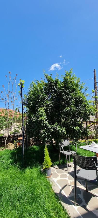 Përmet Garden Guest House מראה חיצוני תמונה