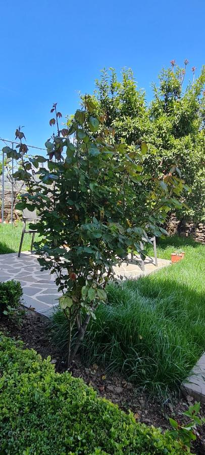 Përmet Garden Guest House מראה חיצוני תמונה