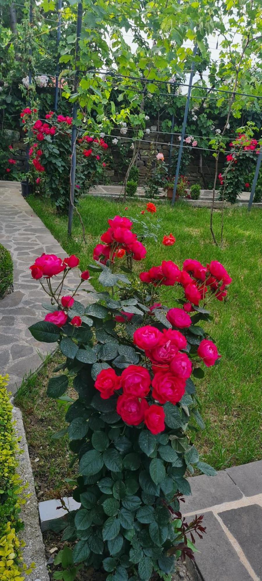 Përmet Garden Guest House מראה חיצוני תמונה